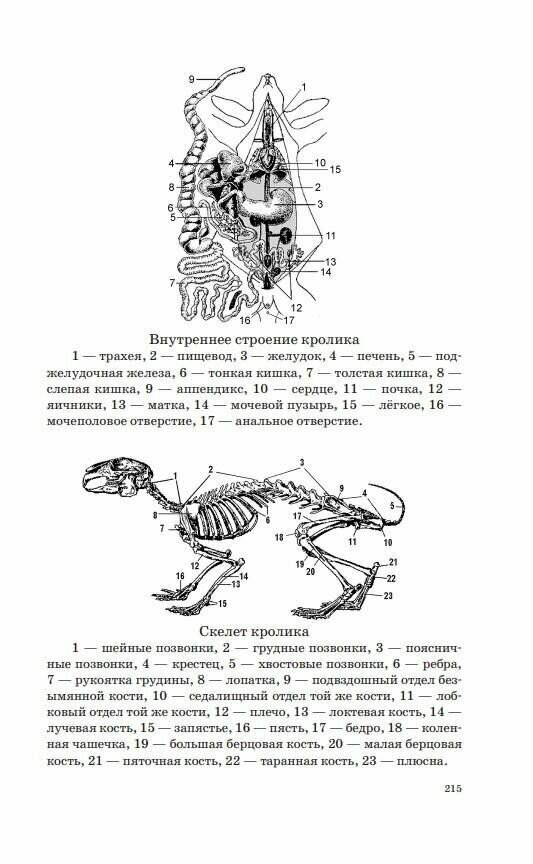 ОГЭ. Биология. Новый полный справочник для подготовки к ОГЭ - фото №20