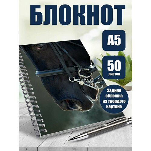 Блокнот А5 Животные Лошади