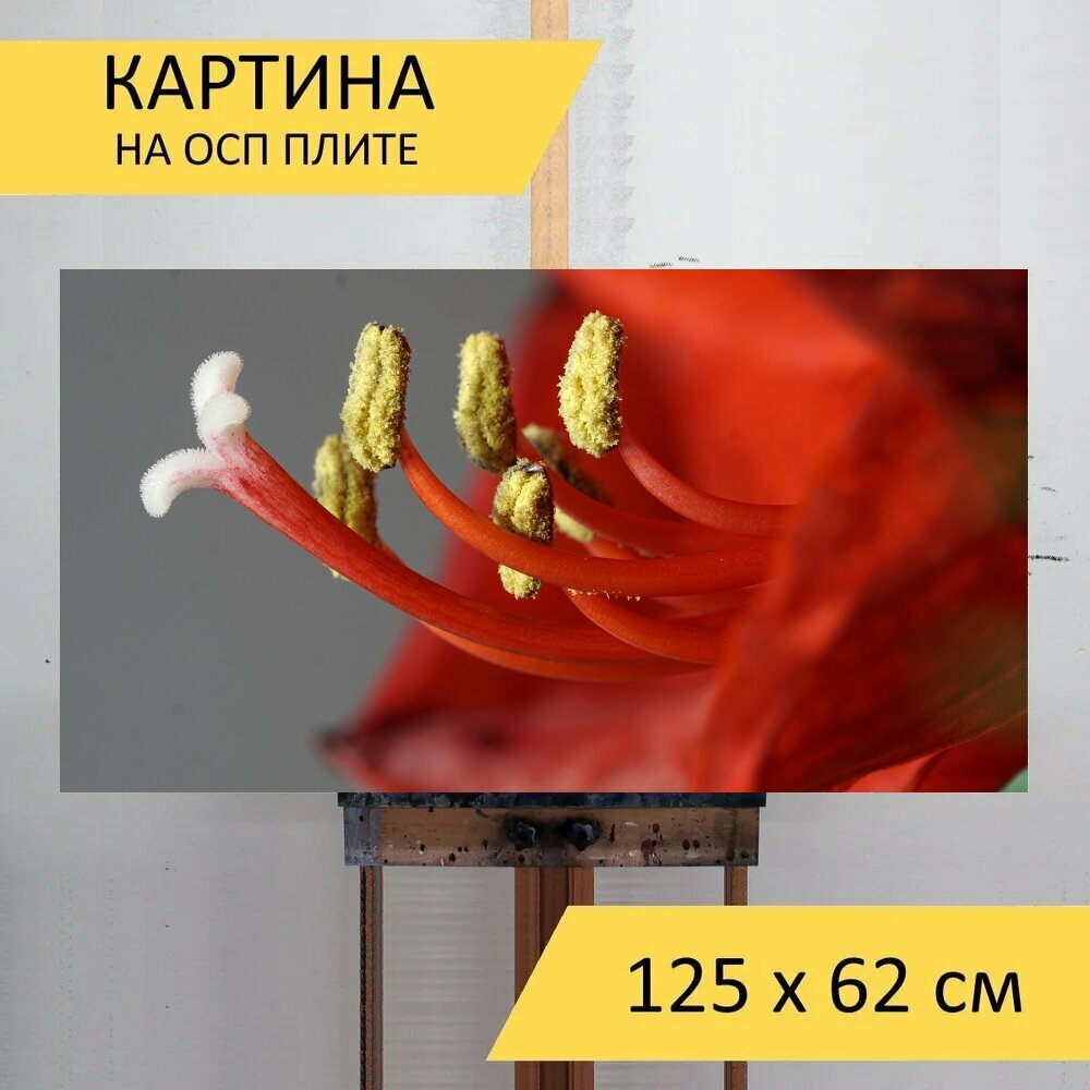 Картина на ОСП 125х62 см. "Амариллис цветок тычинка" горизонтальная для интерьера с креплениями