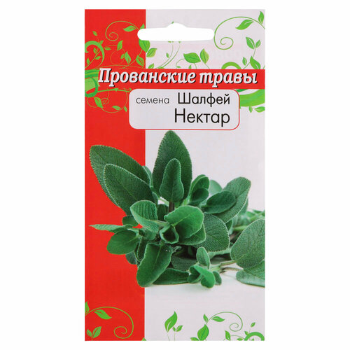 Семена Шалфей 01 гр Пряные травы 30 штук 880₽