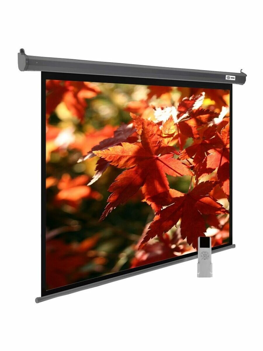 Экран CACTUS SIlverMotoExpert , 200х150 см, 4:3, настенно-потолочный белый - фото №6