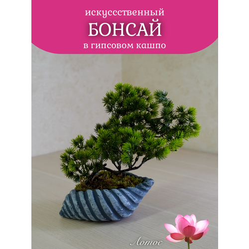 Бонсай в гипсовом кашпо от бренда Лотос 650₽
