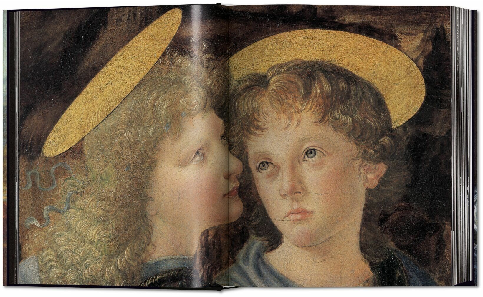 Leonardo: The Complete Paintings and Drawings - фото №4