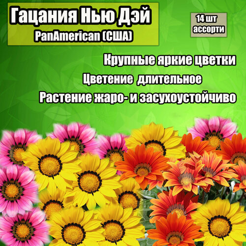 Семена Гацании Нью Дей от PanAmerican, США, 14 штук семена газании поиск нью дэй роуз страйп 10 шт