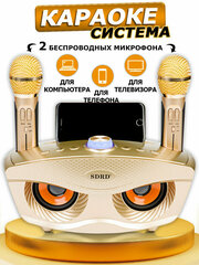 Караоке система с двумя микрофонами "SD-306" золотая