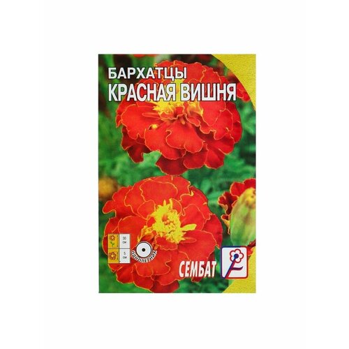 Семена цветов Бархатцы Красная вишня, О, 0,2 г семена цветов бархатцы красная вишня о 0 2 г 4 упак