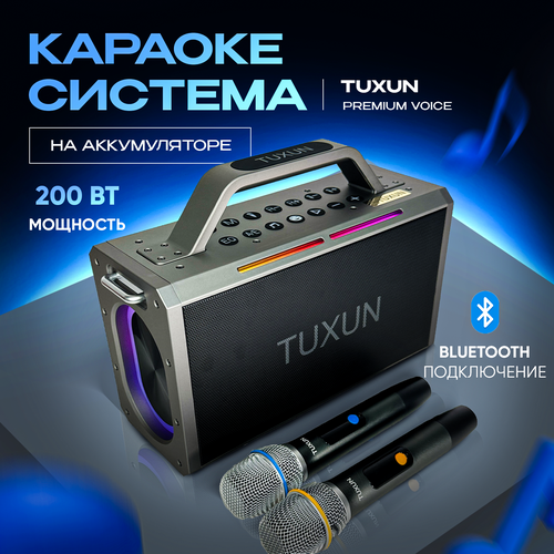 Караоке система на аккумуляторе Tuxun Premium Voice портативная 28710₽
