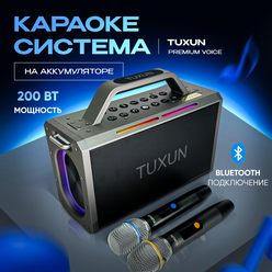 Караоке система на аккумуляторе Tuxun Premium Voice портативная