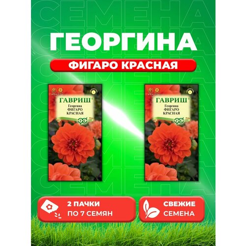 Георгина Фигаро красная, 7 шт, Гавриш(2уп) георгина махровая фигаро f1 красная