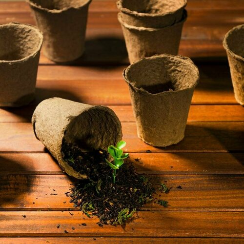 Торфяные горшочки Экоторф 80х80 мм 10 шт 389₽