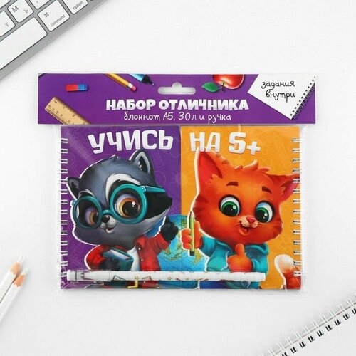 Набор двойной блокнот с заданиями и ручка Отличной учебы 590₽
