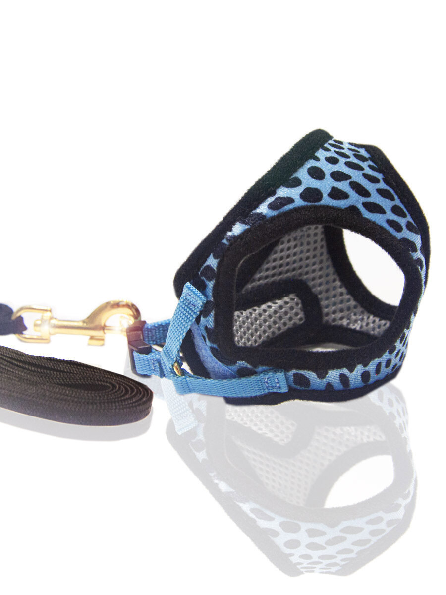 Шлейка с поводком для кошек Japan Premium Pet с золотым покрытием размер 3S.