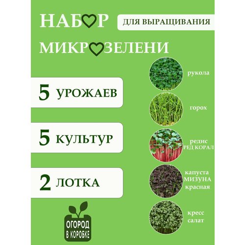 Набор для выращивания микрозелени 5 видов семян