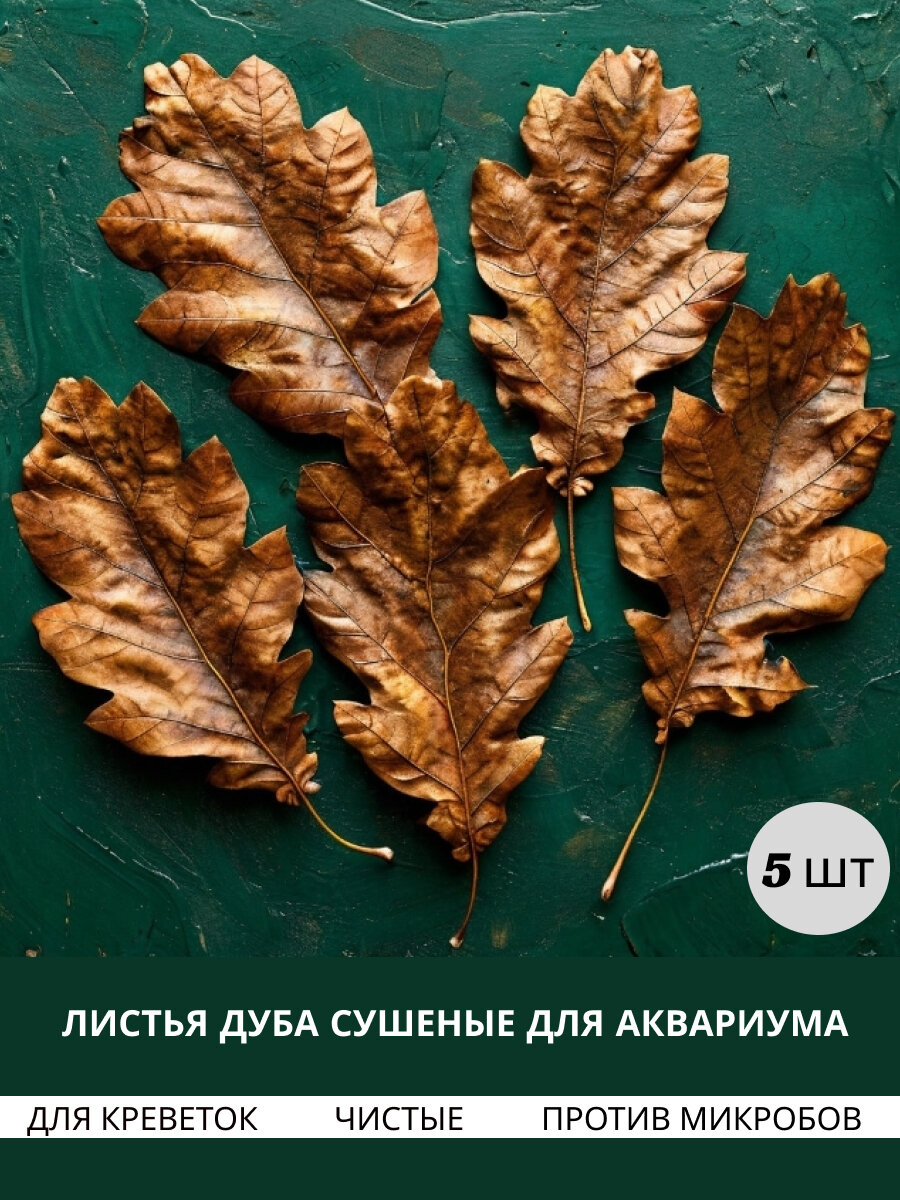 Листья дуба для аквариума 5 штук
