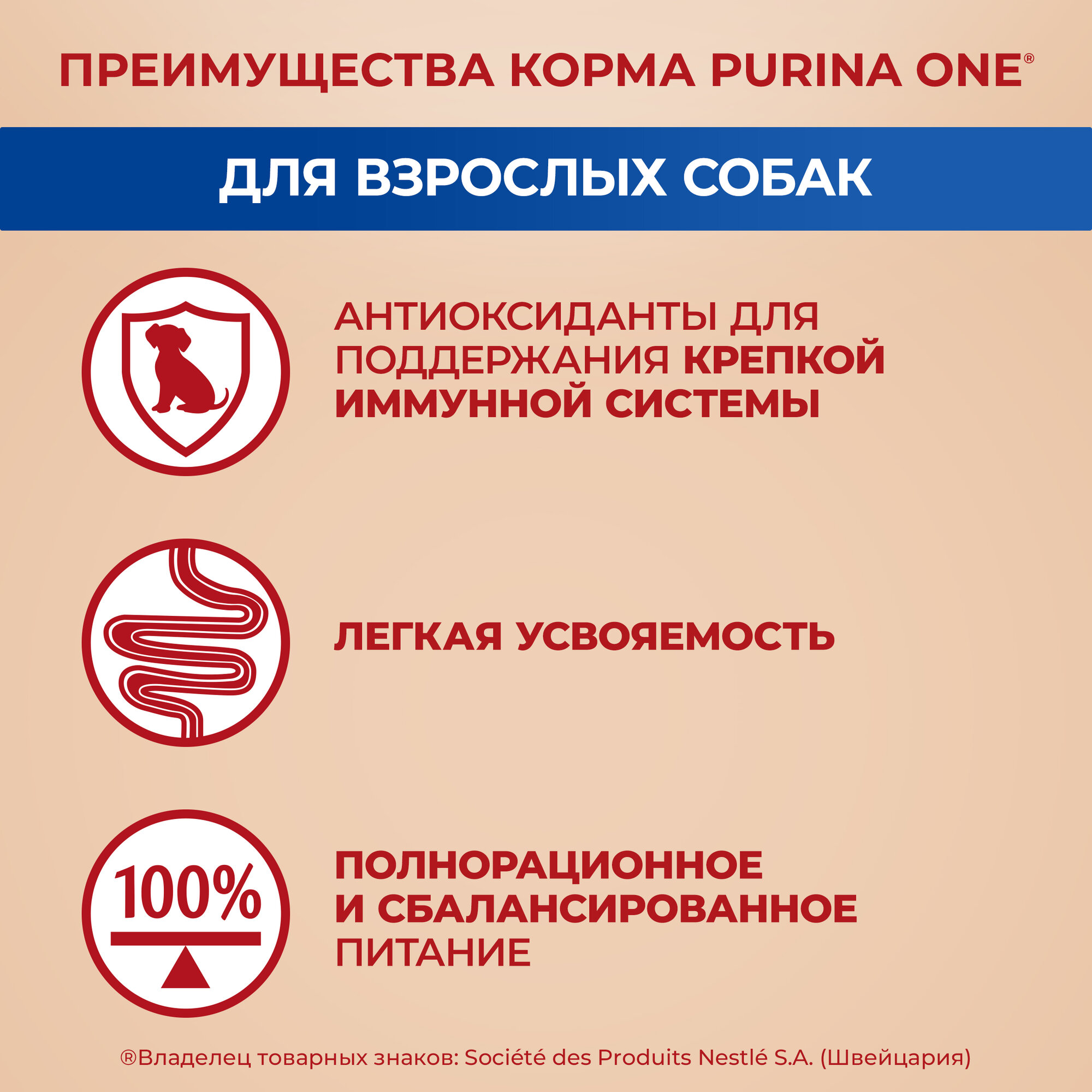 Purina ONE Мини 85 г пауч влажный корм для активных собак с курицей, морковью и зеленой фасолью в подливе х26 штук — фото 1