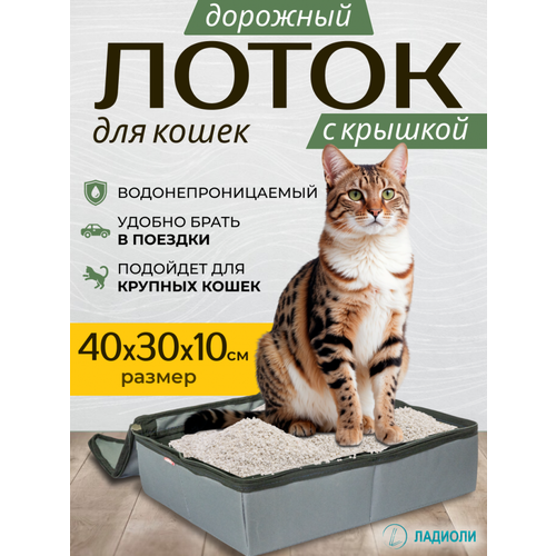 Лоток для кошек с крышкой Ладиоли М-37К, серый, дорожный, 40х30х10 см, размер L
