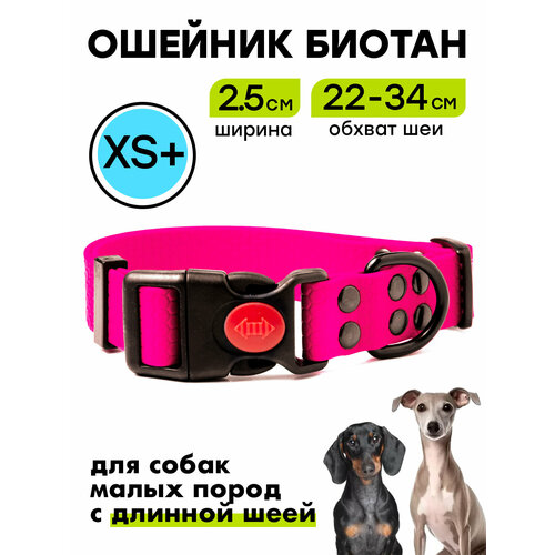 Ошейник из биотана 22-34 см (XS+), 25 мм , Woofy "Iron", для маленьких собак, водостойкий, розовый