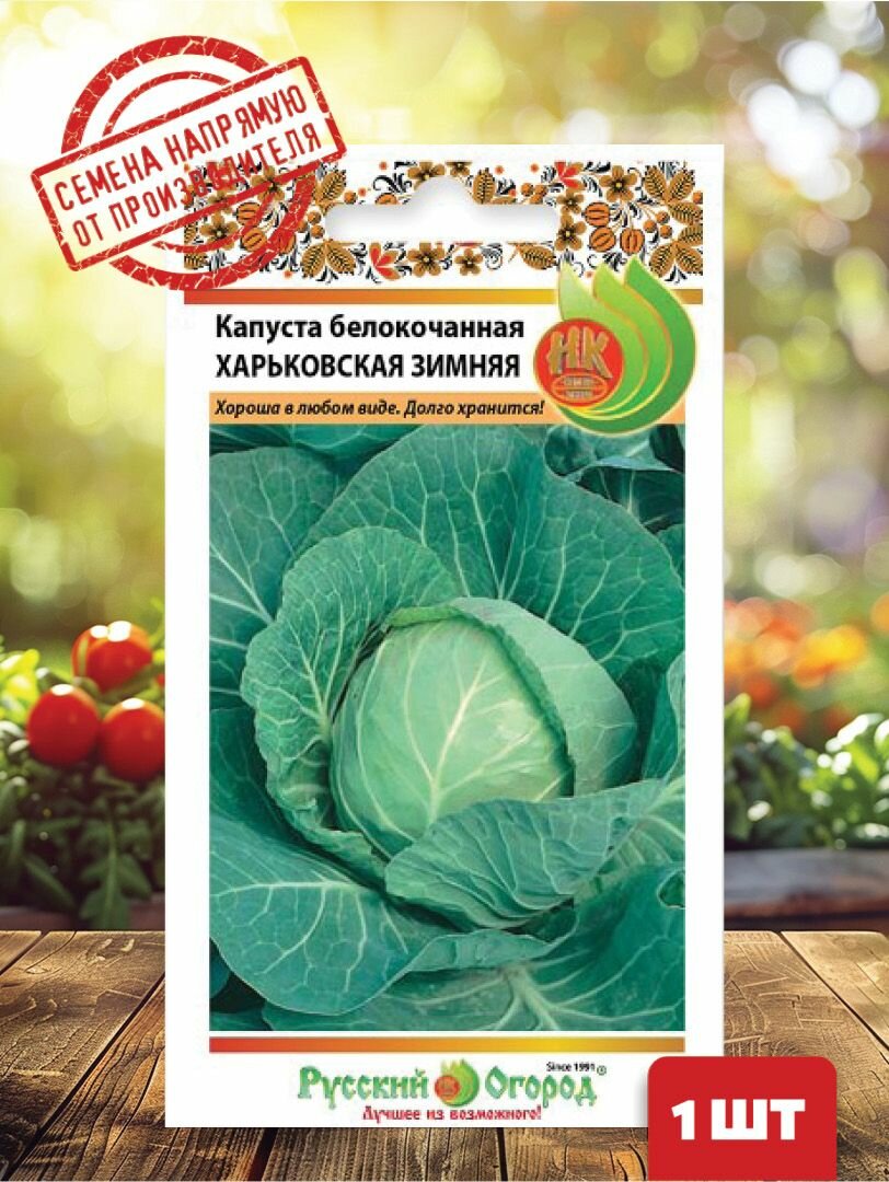 Семена Капуста б/к Харьковская зимняя