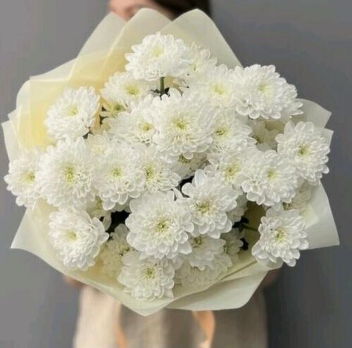Изображение товара Букет живых цветов, кустовые хризантемы NURA FLOWERS, 5 шт, высота 55 см, в стильной упаковке