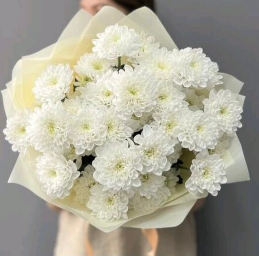 Букет живых цветов, кустовые хризантемы NURA FLOWERS, 5 шт, высота 55 см, в стильной упаковке