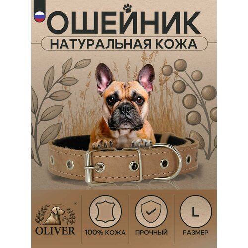 Ошейник для собак Oliver из натуральной кожи на мягкой подкладке из синтепона / L / Темно-бежевый