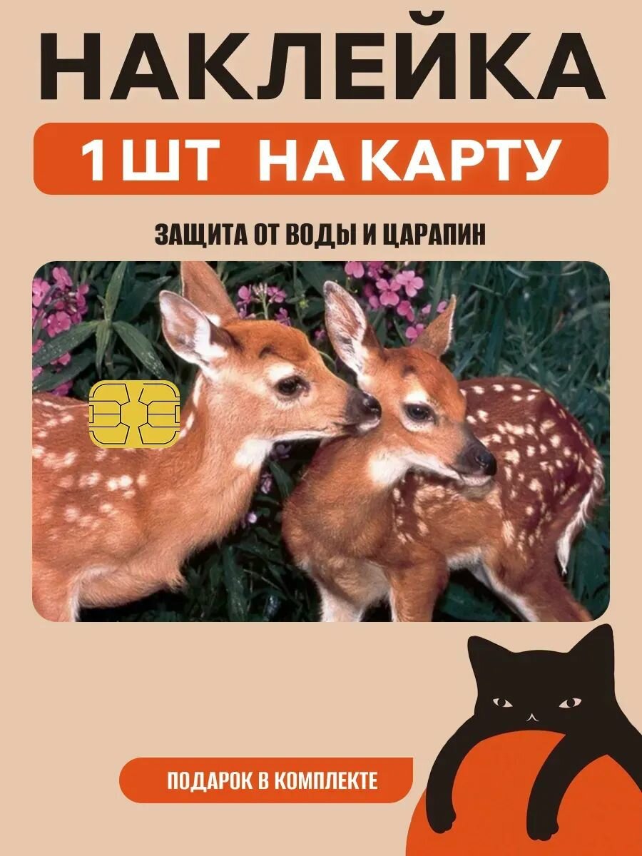 Наклейка на банковскую карту
