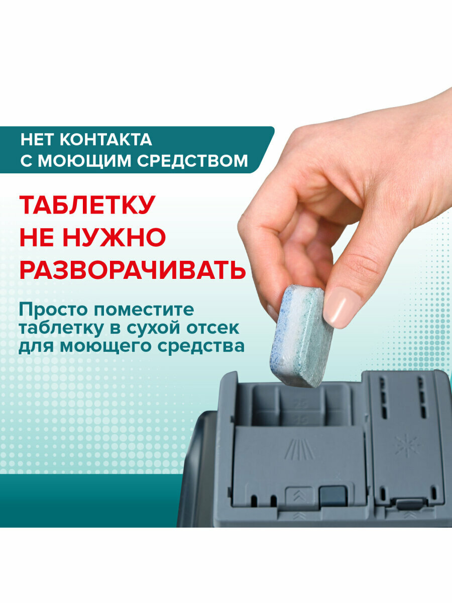 Laima - фото №3