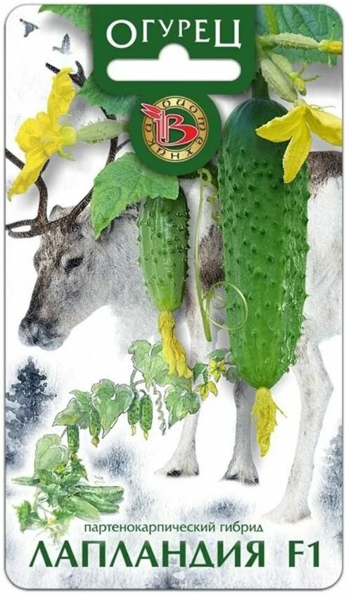 Семена Огурец Лапландия F1 холодостойкий Биотехника