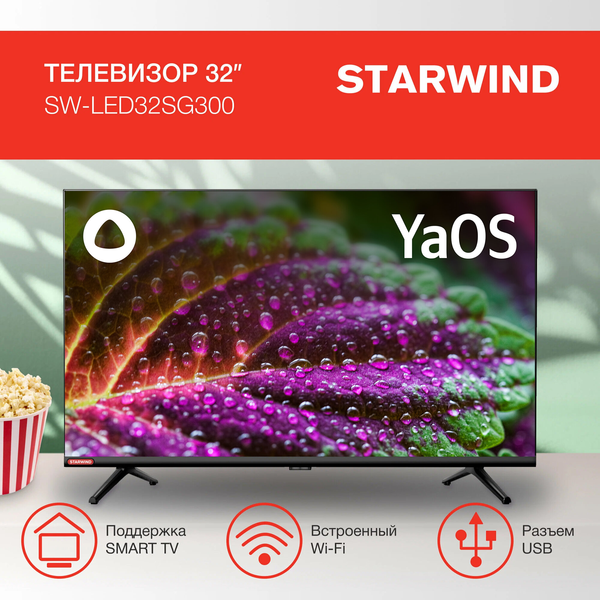 32" Телевизор STARWIND SW-LED32SG300, черный