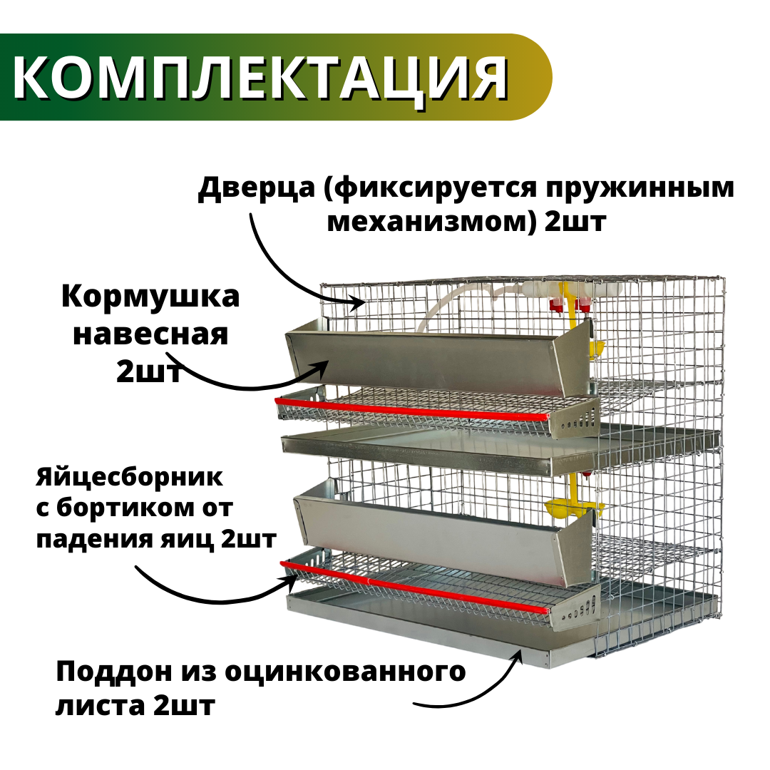 Клетка для перепелов на 30 голов, 2 яруса, Сельский дворик - фотография № 6