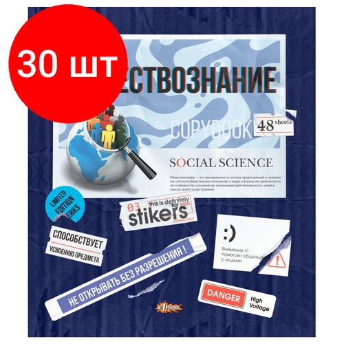 Комплект 30 штук, Тетрадь предметная №1 School Стикеры 48л А5, клетка обществознание, 73393