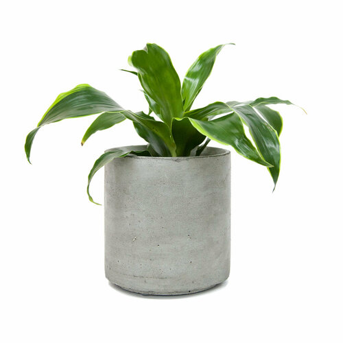 Кашпо из бетона Cylinder 155 Flower pots