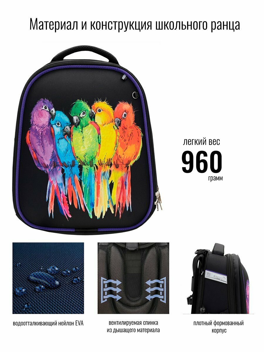 Ранец BagRio BR024/23 - фото №10