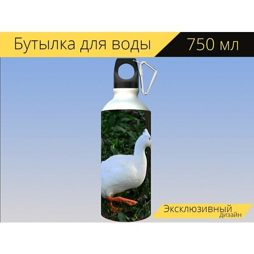 фото Бутылка фляга для воды "белая хохлатая утка, водоплавающая птица, животное" 750 мл. с карабином и принтом lotsprints