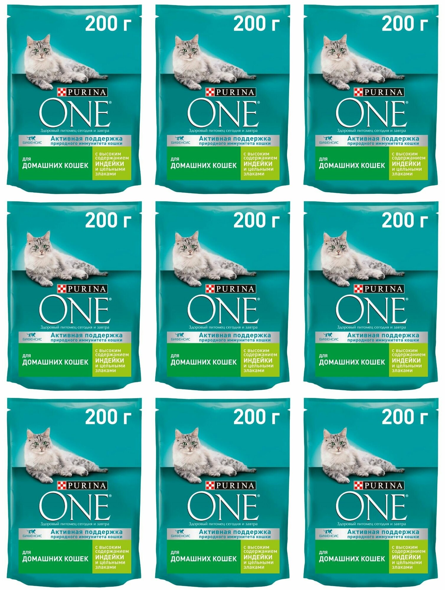 Purina ONE Сухой корм для домашних кошек, с высоким содержанием индейки и цельными злаками, 200 г, 9 уп