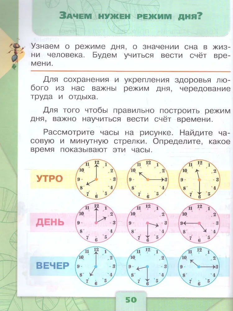 Окружающий мир. 1 класс. Учебник. В 2 частях. Часть 1 - фото №8