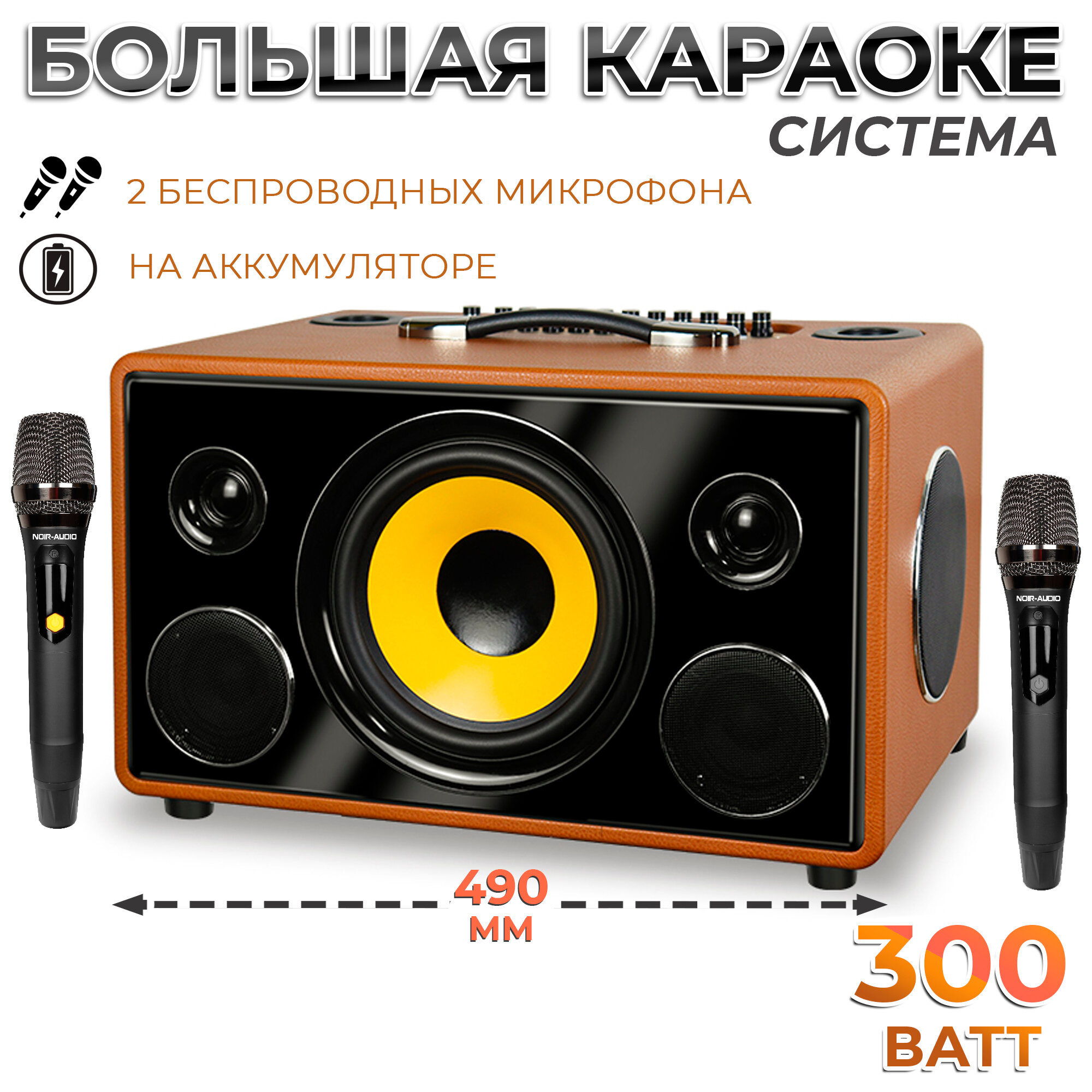 Караоке-система NOIR-Audio MAX-300 с двумя микрофонами и колонкой