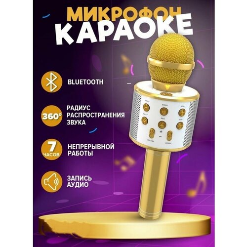 Микрофон для караоке беспроводной 119600₽