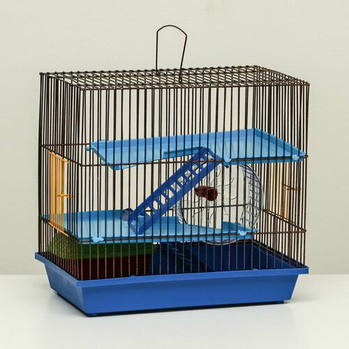 Клетка для грызунов с пластиковыми полками и наполнением, 36 x 23 x 34 см, синий