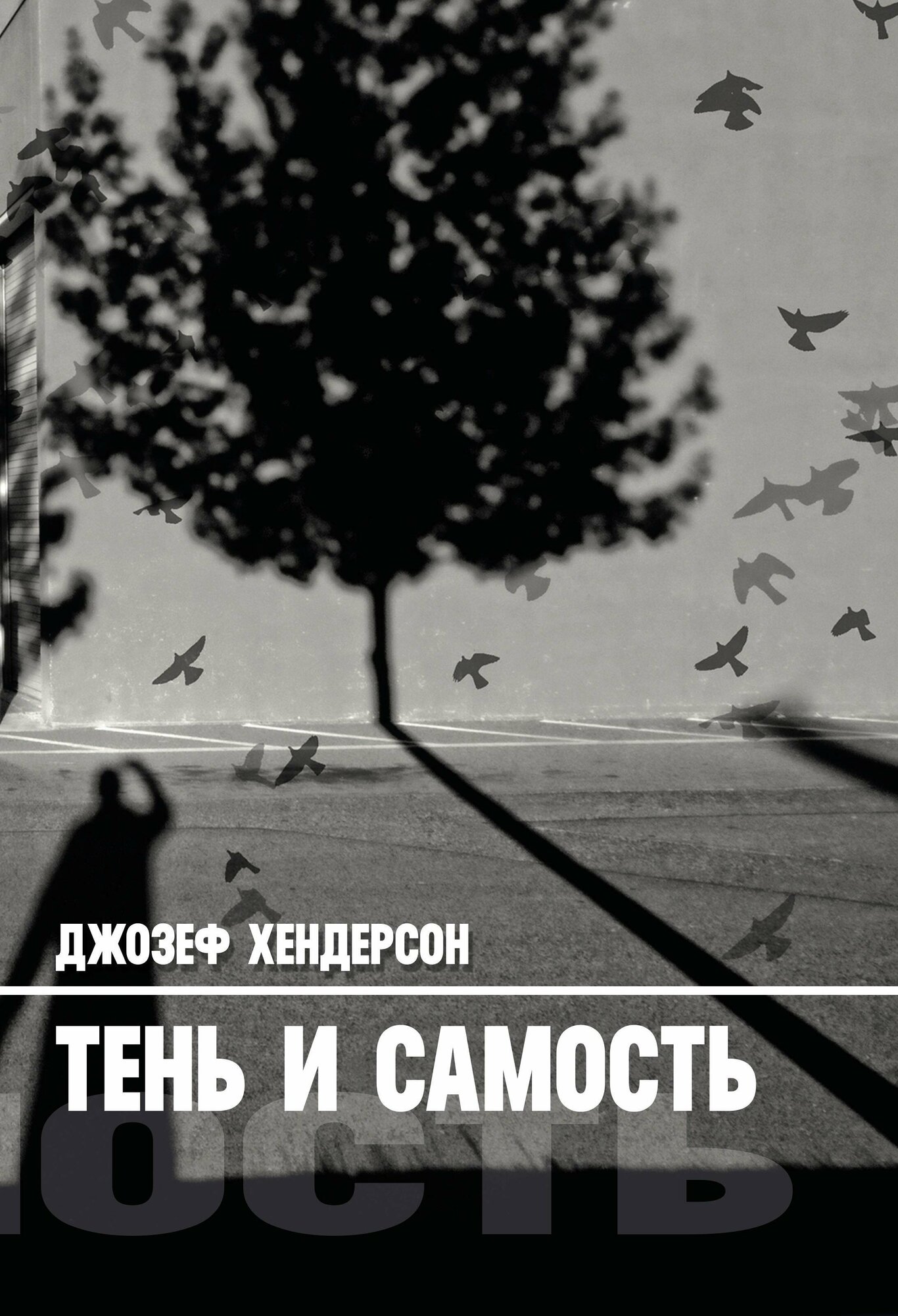 Тень и Самость (Джозеф Хендерсон) - фото №4
