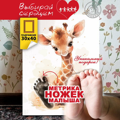 Метрика ножек Жираф 499₽