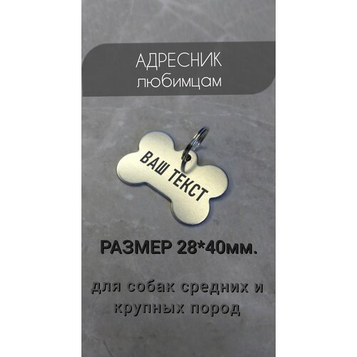 Адресник с гравировкой для собак и кошек адресник с гравировкой для собак и кошек