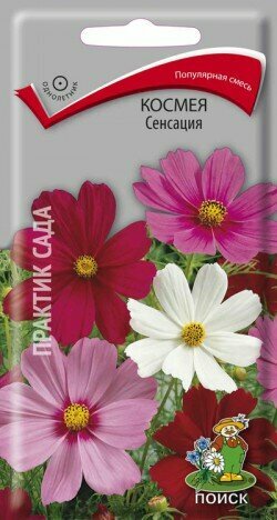Космея Сенсация однол. 03гр. (Поиск)