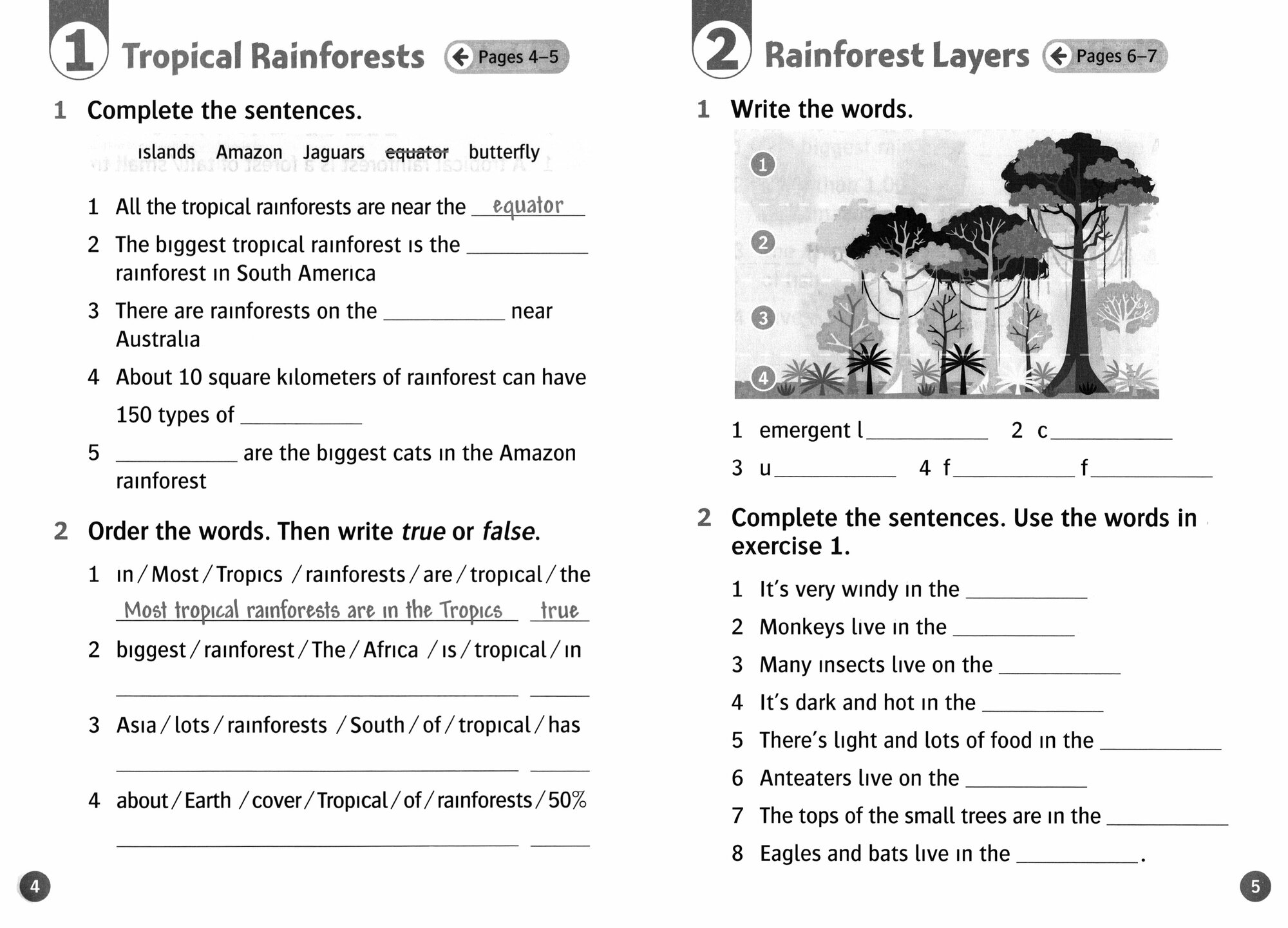Oxford Read and Discover. Level 3. Life in Rainforests. Activity Book - фото №2
