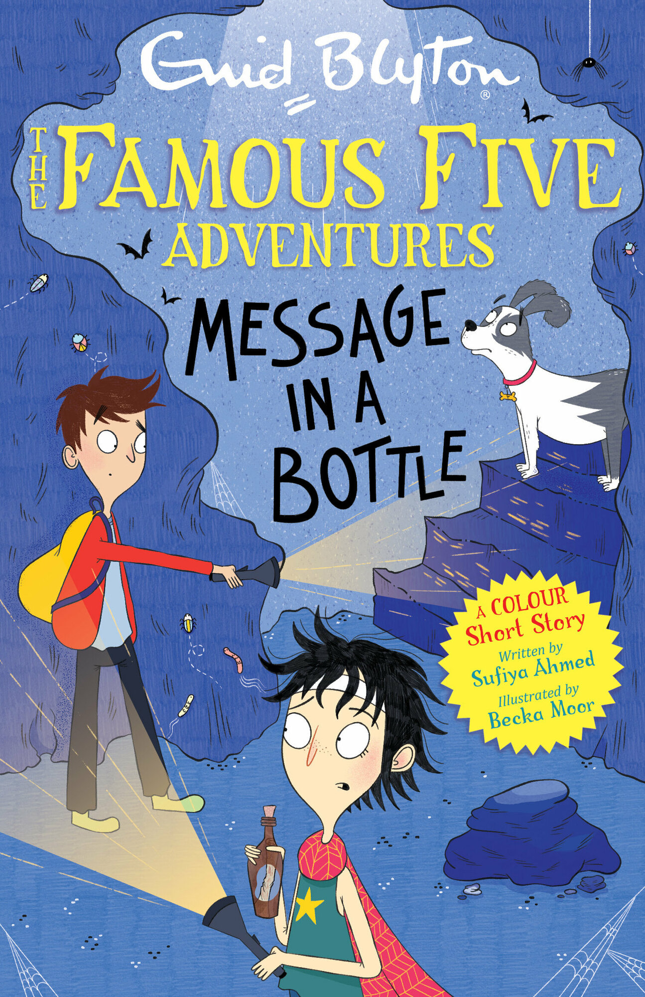 Message in a Bottle (Ahmed Sufiya; Blyton Enid) - фото №1