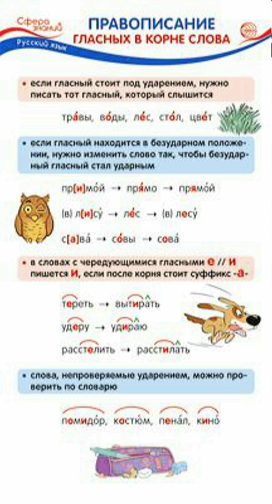 Карточка-шпаргалка. Русский язык. Правописание гласных в корне слова (110*205) (ШМ-13728), (Сфера, 2