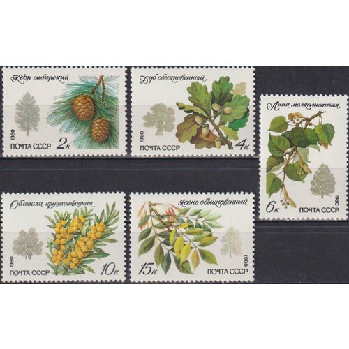 Почтовые марки СССР 1980г. Охраняемые породы деревьев и кустарников Деревья MNH