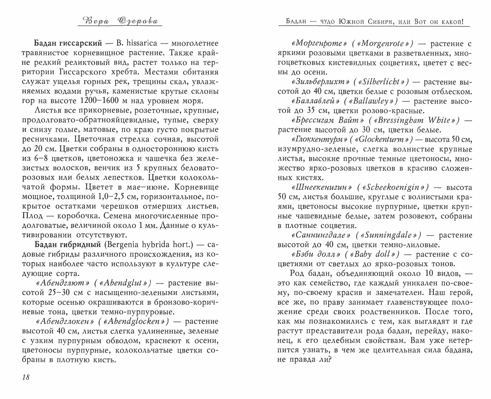 Бадан толстолистный - в лечении болезней внутренних органов (3594) - фото №4