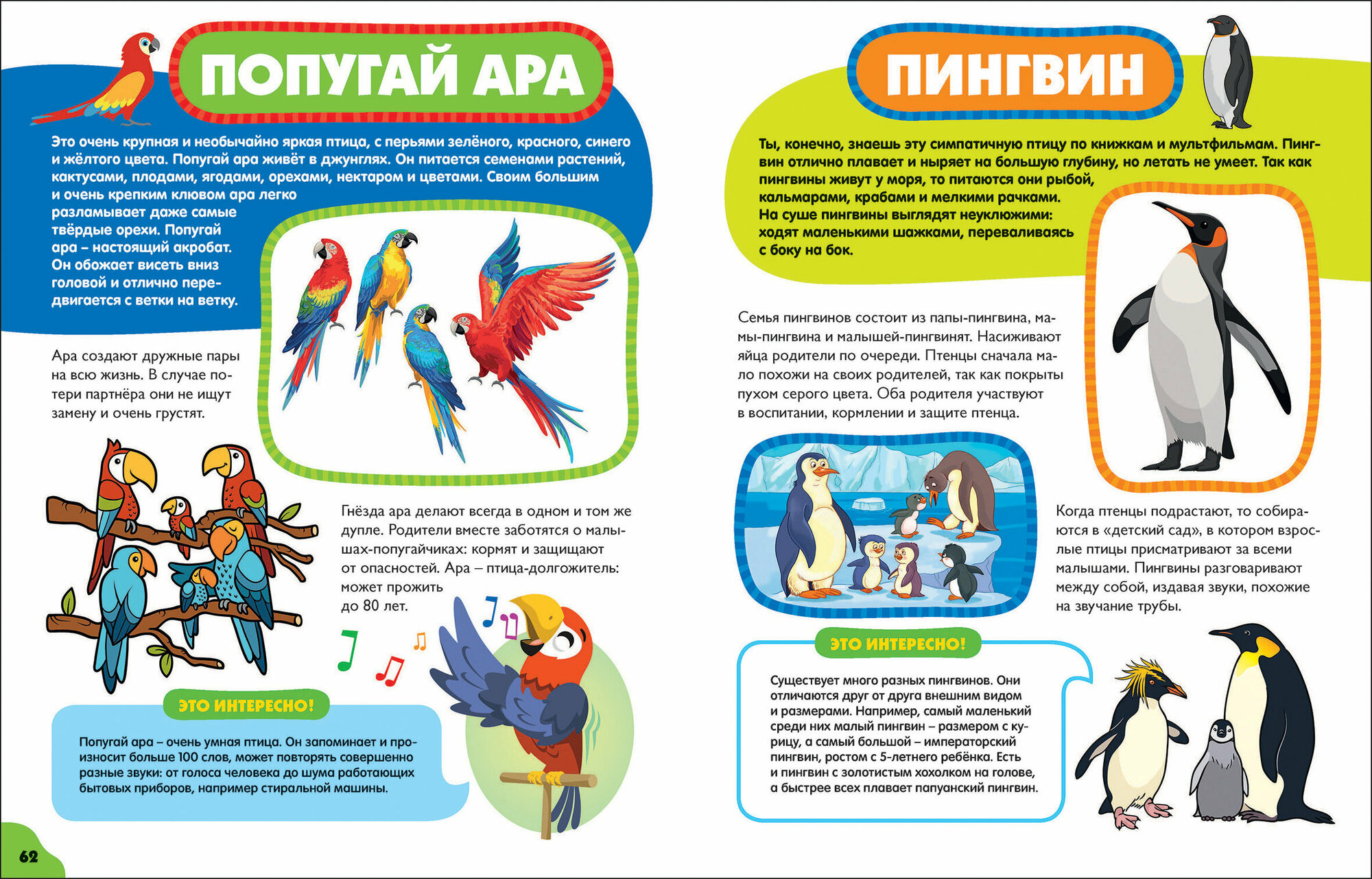 Птицы для самых маленьких (Забирова Анна Викторовна) - фото №14