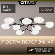 Citilux Флорида CL148195 Люстра потолочная Чёрная